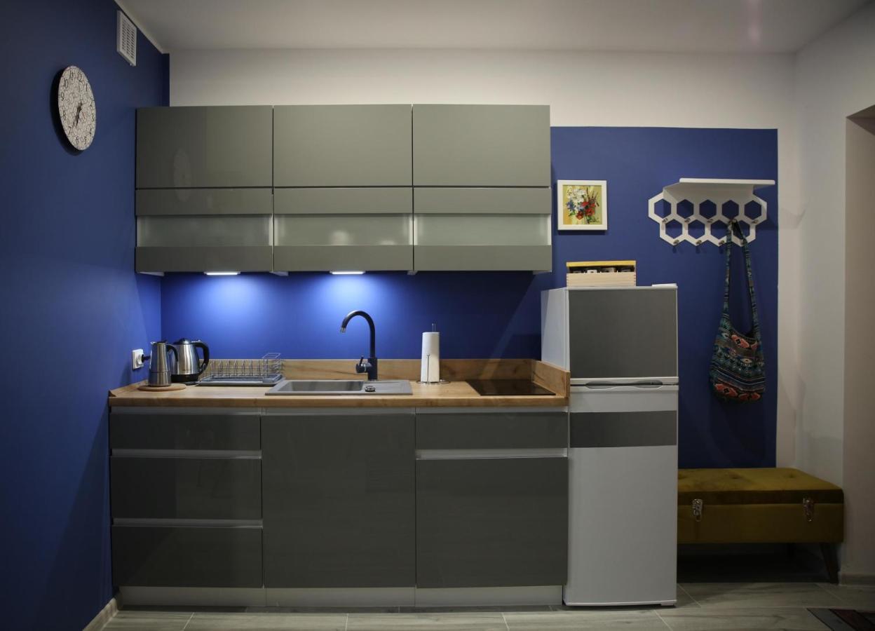 אוסטריצקי דולנה Apartament Dla Dwojga מראה חיצוני תמונה